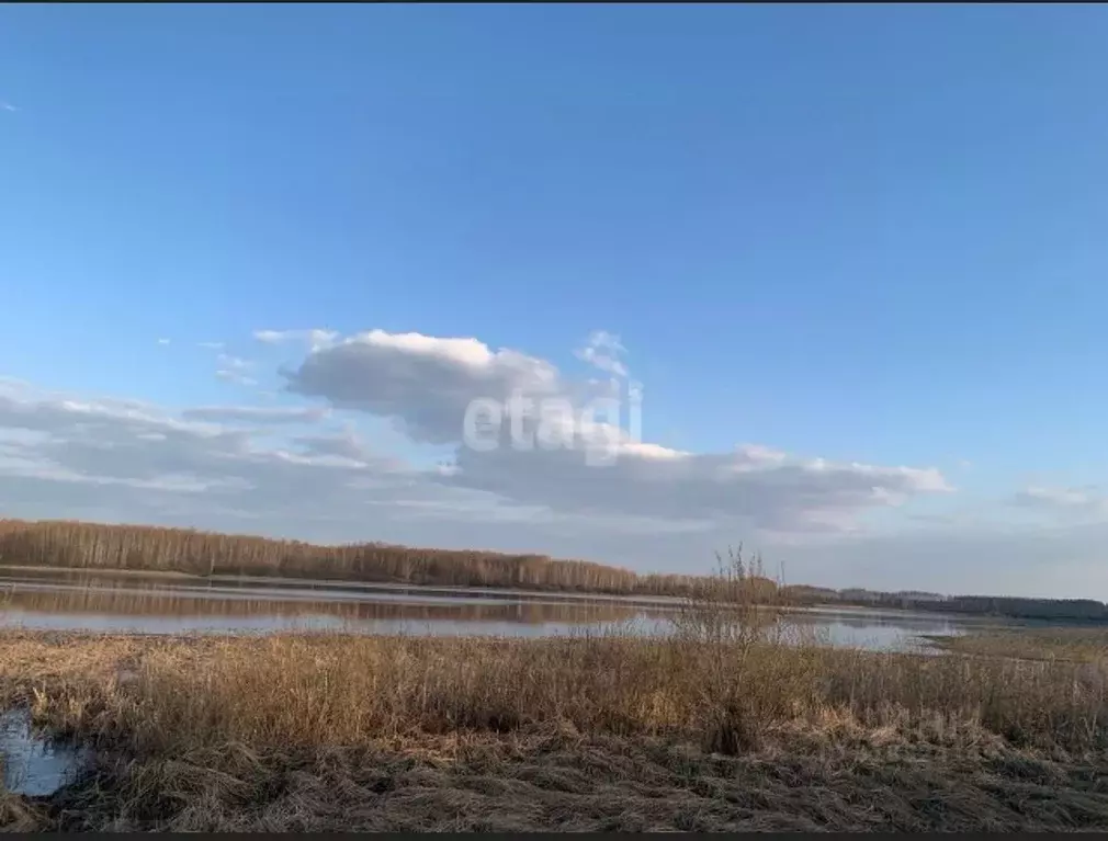 Участок в Тамбовская область, Рассказовский муниципальный округ, с. ... - Фото 0
