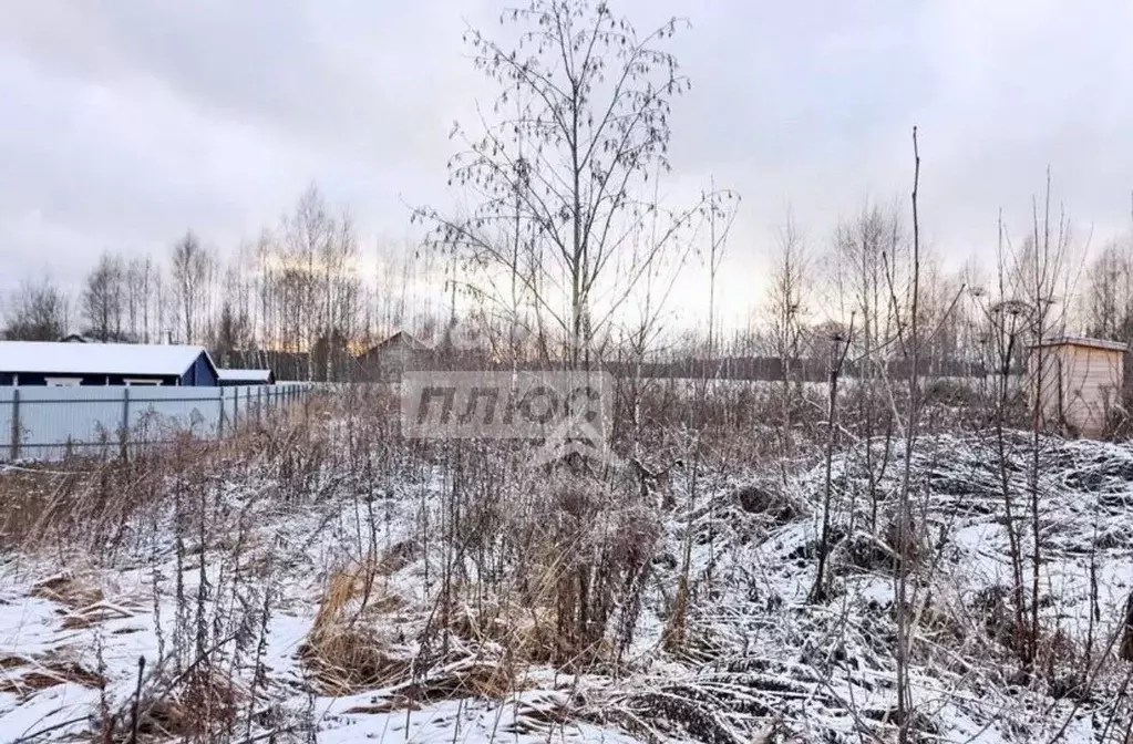 Участок в Московская область, Солнечногорск городской округ, д. ... - Фото 2