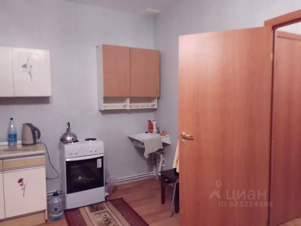 Студия Ленинградская область, Гатчинский муниципальный округ, пос. ... - Фото 1