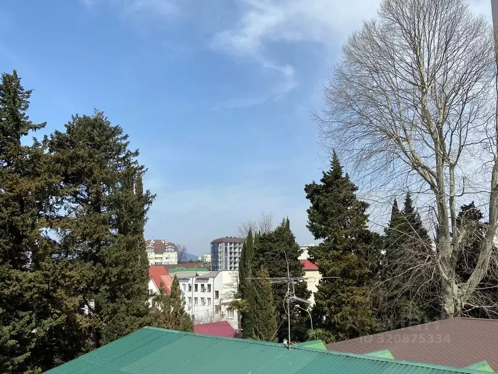 Студия Краснодарский край, Сочи ул. Кирова, 28А (26.0 м) - Фото 1