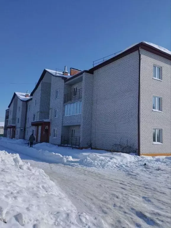 3-к кв. Брянская область, Клетня рп ул. Заозерная, 24А (66.4 м) - Фото 1