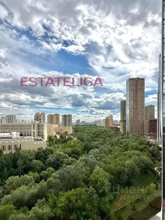 Студия Москва Озерная ул., 1к2/4 (24.0 м) - Фото 2