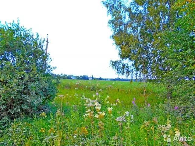 Купить Участок В Верее Наро Фоминского