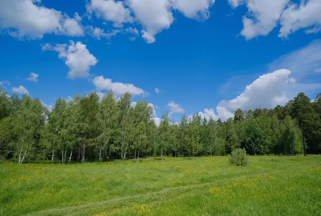 Участок в Тверская область, Торжокский муниципальный округ, д. ... - Фото 1
