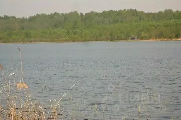 Участок в Псковская область, Плюсский муниципальный округ, д. Ктины  ... - Фото 1