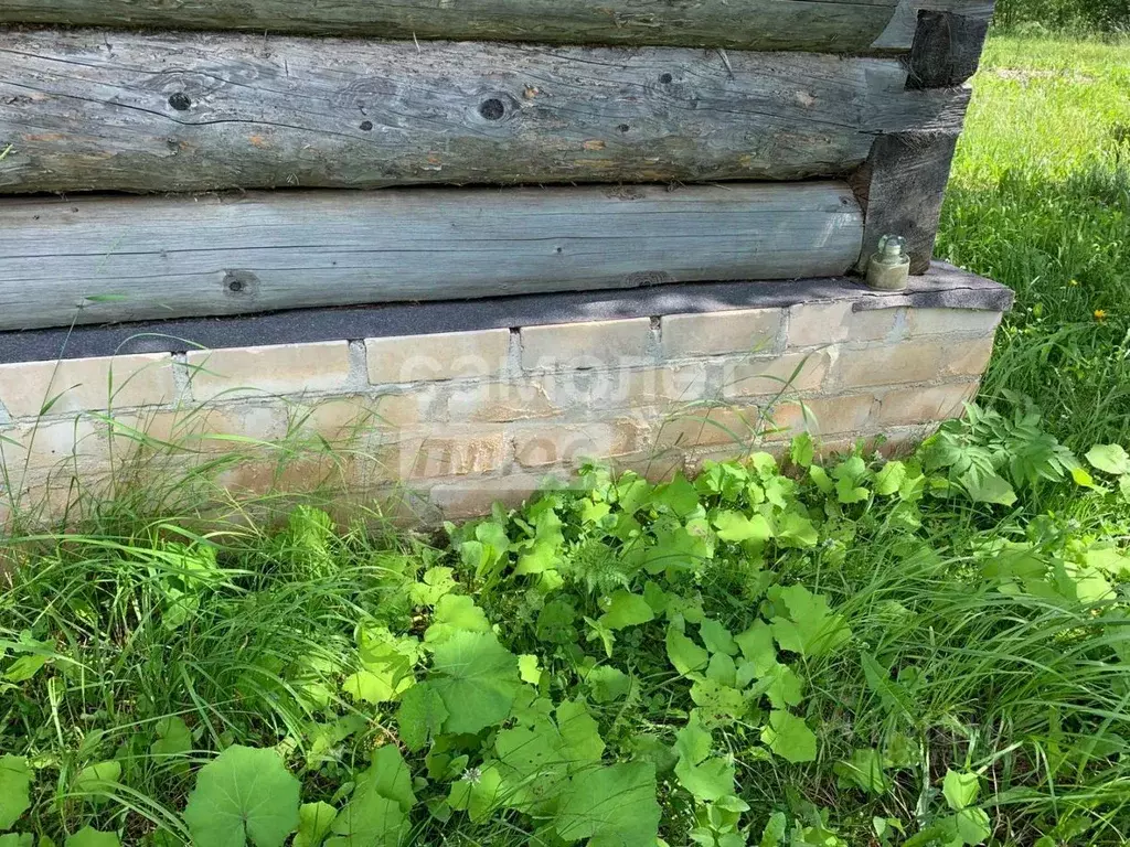 Участок в Вологодская область, д. Гуреиха  (16.0 сот.) - Фото 2