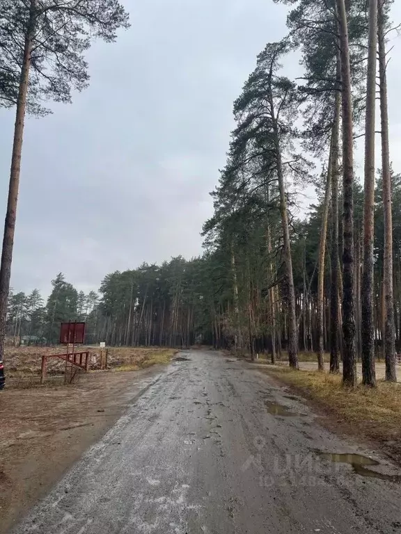 Участок в Тамбовская область, Тамбов Рассказовское ш. (14.57 сот.) - Фото 1