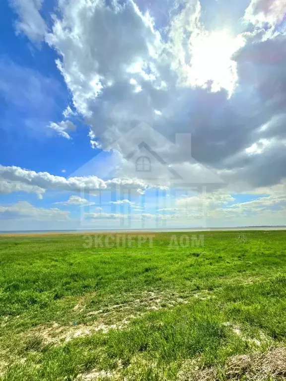 Участок в Ростовская область, Неклиновский район, Лакедемоновское ... - Фото 2