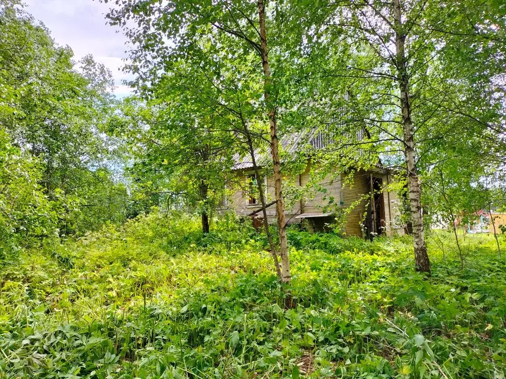 Участок в Новгородская область, Валдайский район, Ивантеевское с/пос, ... - Фото 1