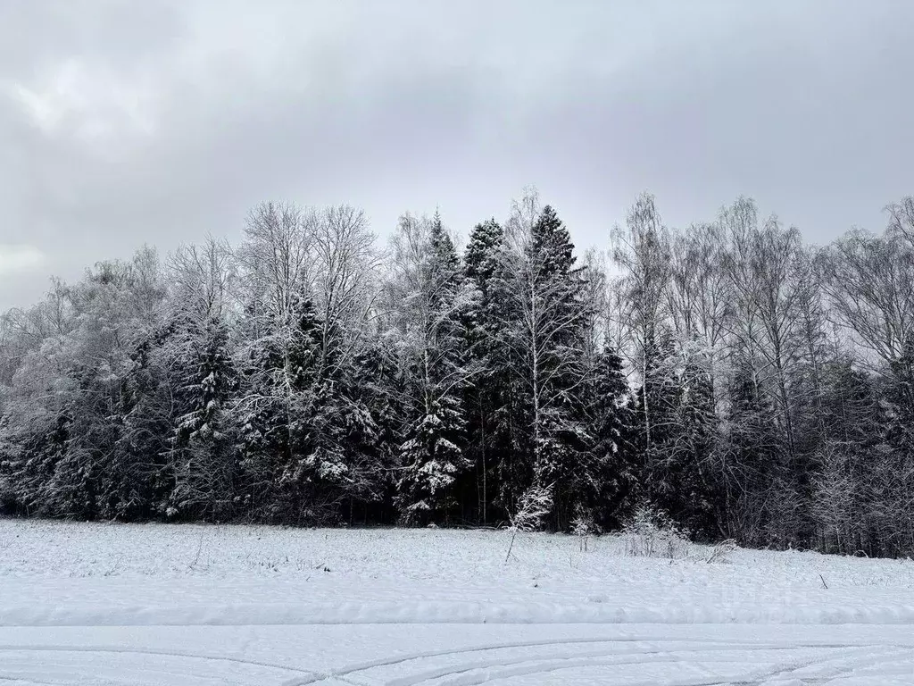 Участок, 8 сот., поселения (ижс) - Фото 1