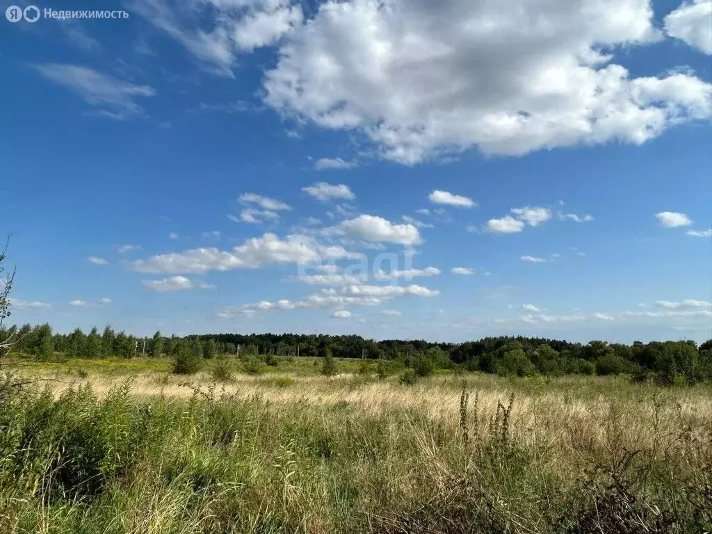 Участок в Богородицк, Стадионная улица (12 м) - Фото 1