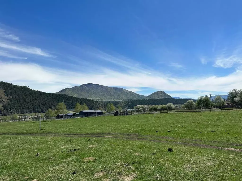 Участок в Алтай, Чемальский район, Аносинское с/пос  (10.0 сот.) - Фото 2