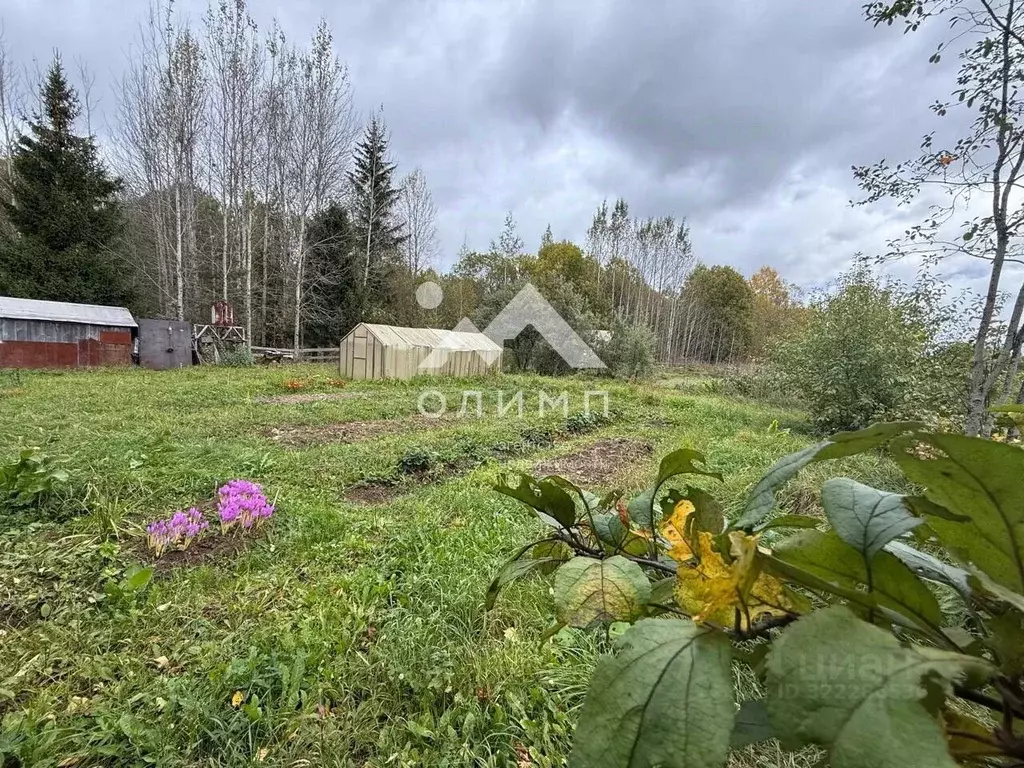 Дом в Вологодская область, д. Перьево  (48 м) - Фото 1