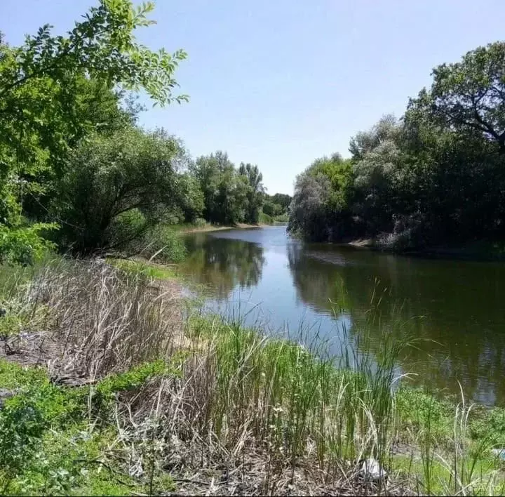 Участок в Волгоградская область, Среднеахтубинский район, Кировское ... - Фото 1