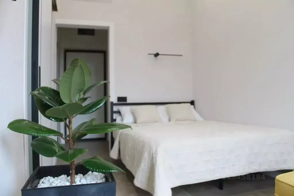 1-к кв. Калининградская область, Светлогорск Майский проезд, 5к3 (26.0 ... - Фото 1