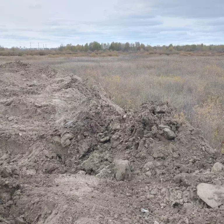Участок в Тюменская область, Тюмень ул. Давыдова (10.9 сот.) - Фото 2