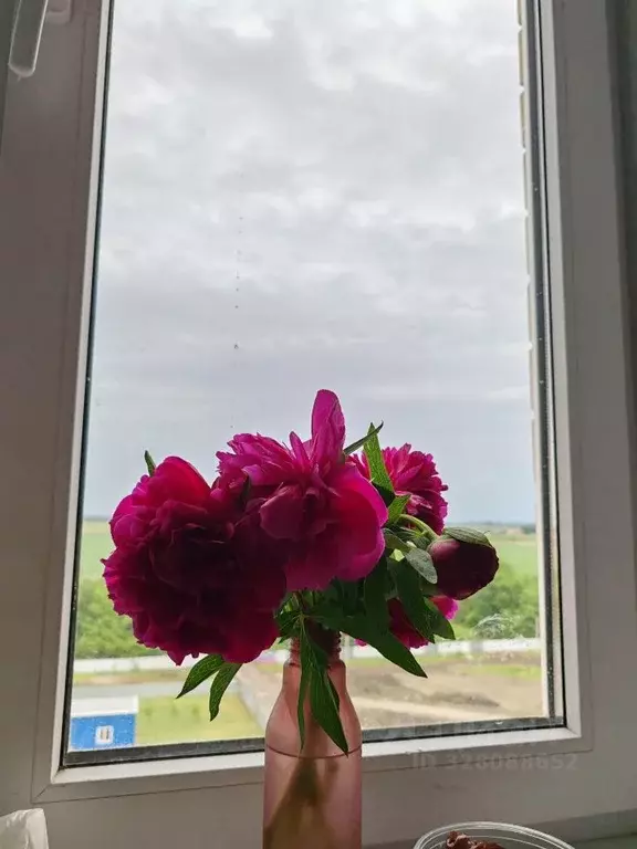 3-к кв. Краснодарский край, Краснодар ул. Летчика Позднякова, 2к19 ... - Фото 1