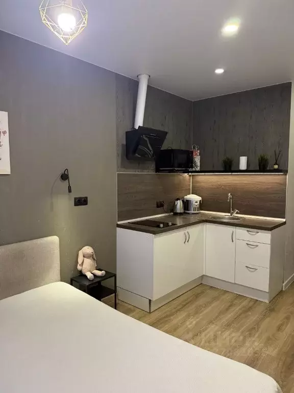 Студия Московская область, Балашиха просп. Ленина, 32д (24.0 м) - Фото 2