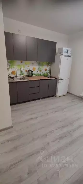 Студия Челябинская область, Челябинский городской округ, пос. Западный ... - Фото 2