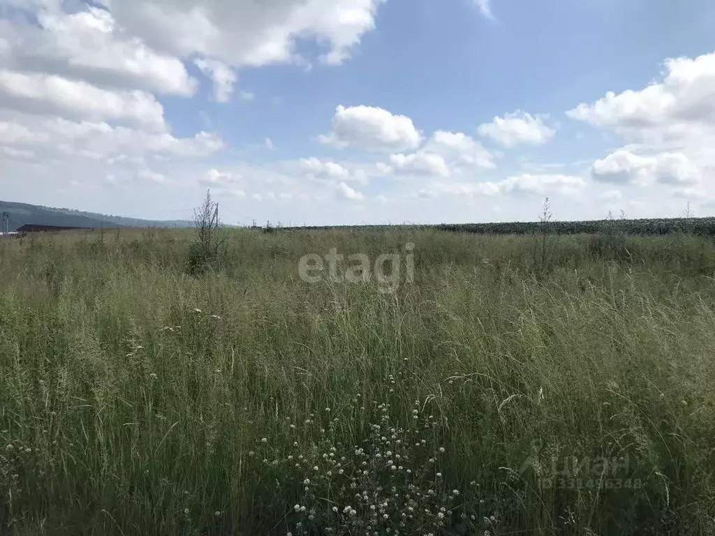 Участок в Иркутская область, Иркутский муниципальный округ, Маркова рп ... - Фото 2