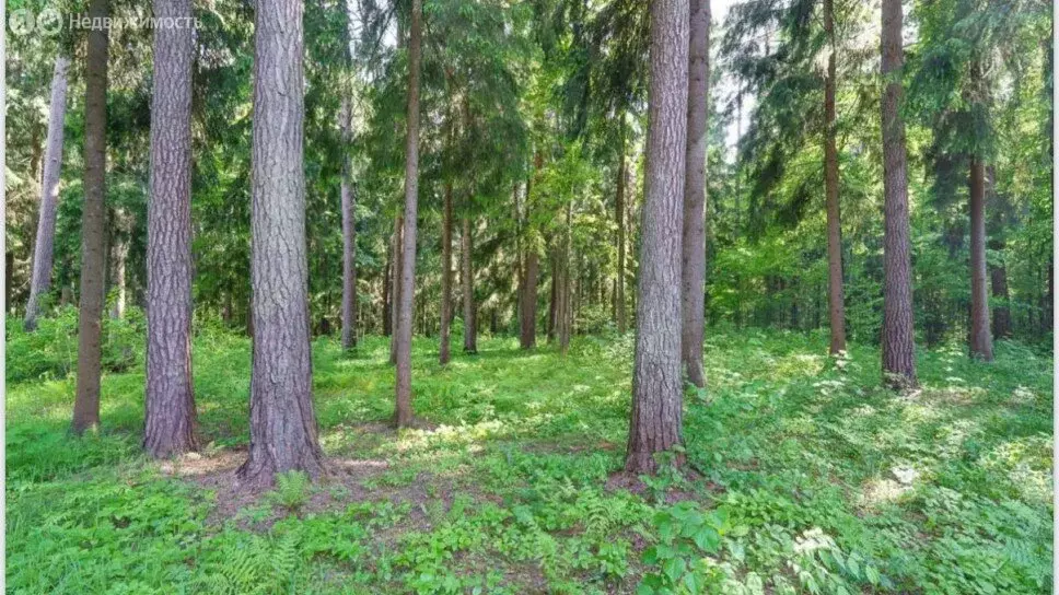 Участок в Одинцовский городской округ, посёлок Барвиха (58 м) - Фото 1