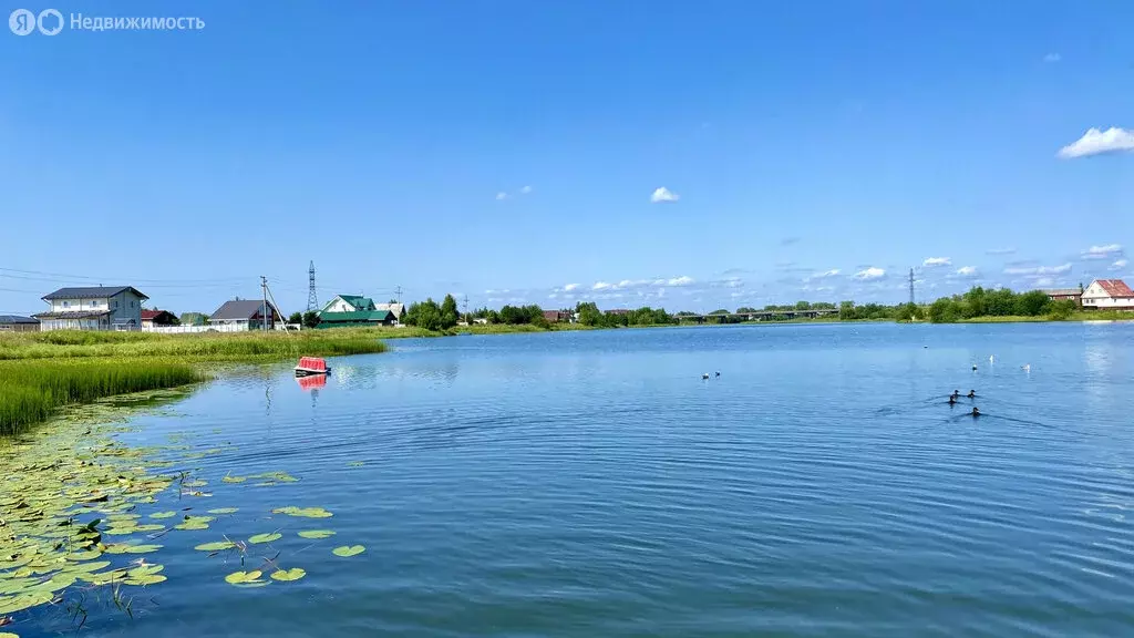 Участок в Архангельская область, Приморский муниципальный округ, ... - Фото 1
