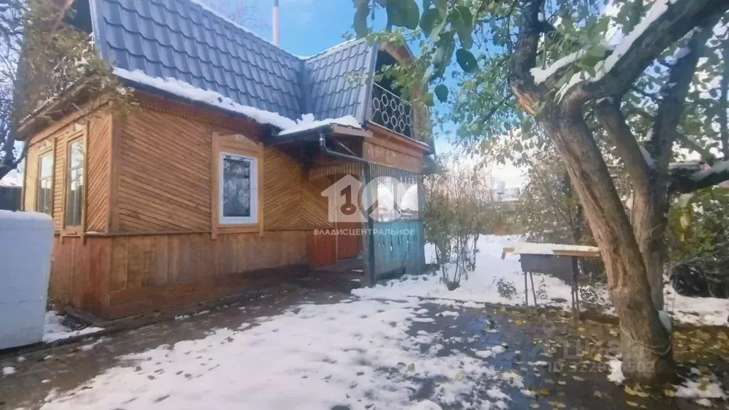 Дом в Новосибирская область, Новосибирск Лилия СНТ, 154 (40 м) - Фото 1