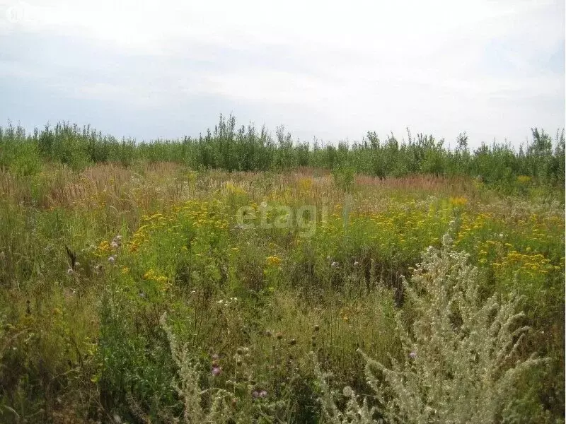 Участок в Нижегородская область, Богородский муниципальный округ, ... - Фото 0