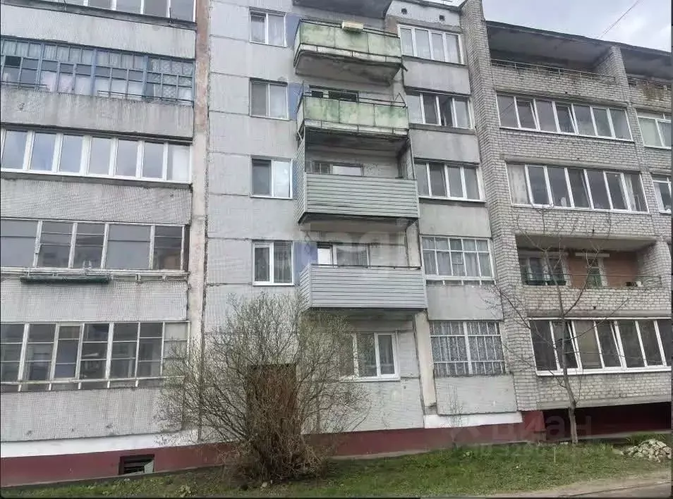 3-к кв. Брянская область, Клинцы Союзная ул., 92 (56.8 м) - Фото 1