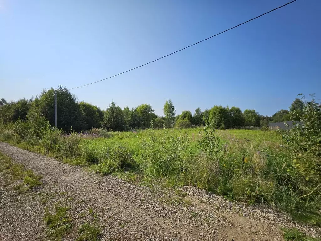 Участок в Московская область, Дмитровский городской округ, д. Дубровки ... - Фото 0