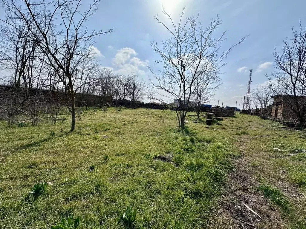 Участок в Крым, Красногвардейский район, Амурское с/пос, с. Новозуевка ... - Фото 2