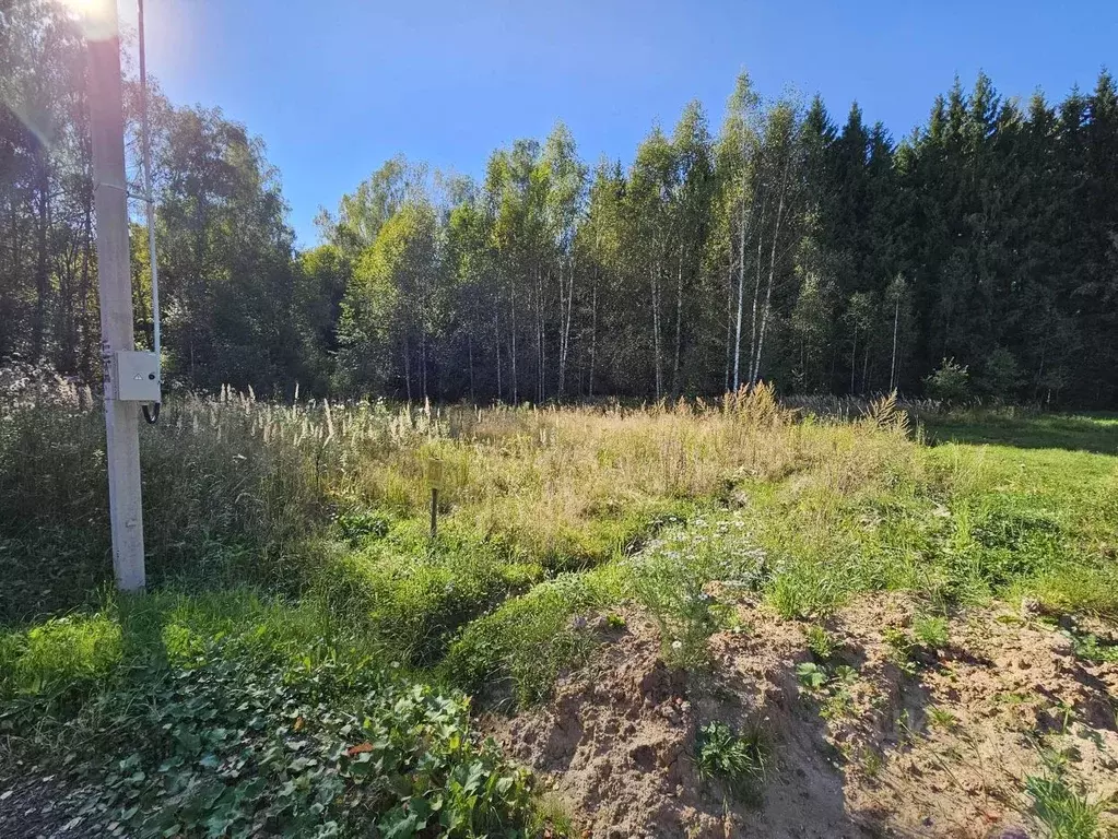 Участок в Московская область, Чехов городской округ, д. Зыкеево  (10.0 ... - Фото 0