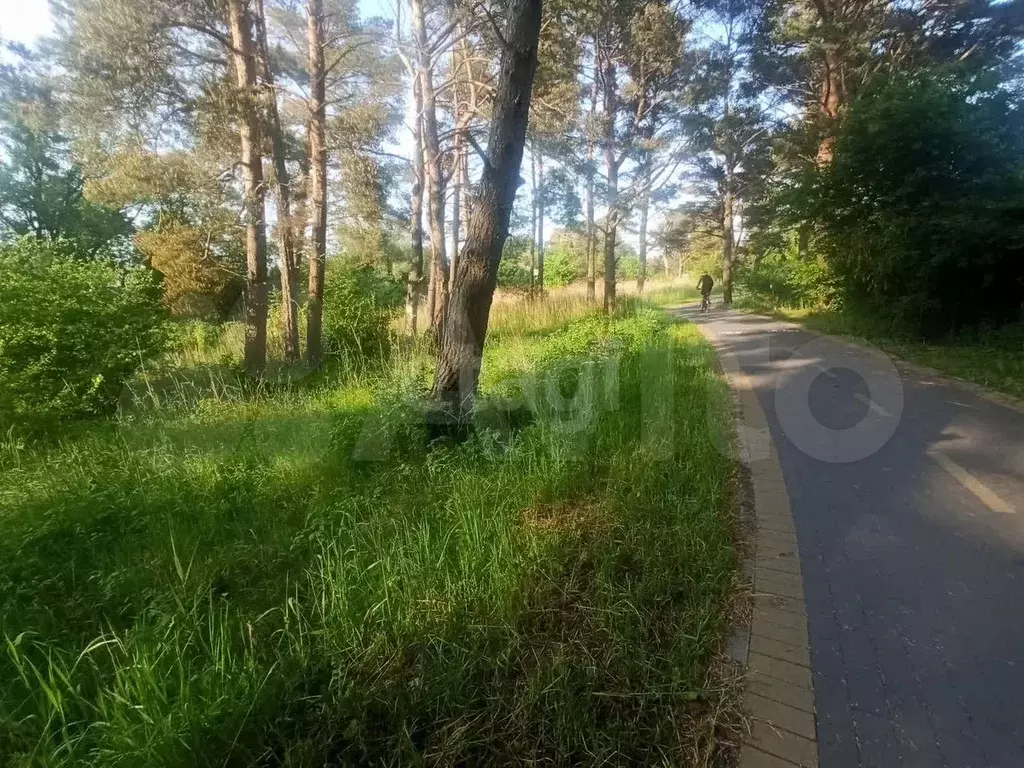 Участок 8 сот. (СНТ, ДНП) - Фото 0