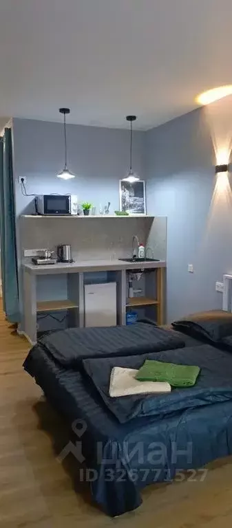 1-к кв. Московская область, Одинцовский городской округ, ... - Фото 2