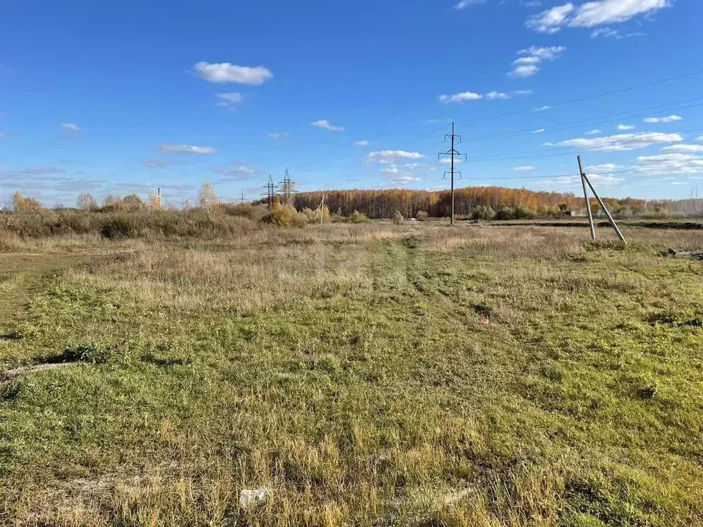 Участок в Новосибирская область, Новосибирский район, Криводановский ... - Фото 2