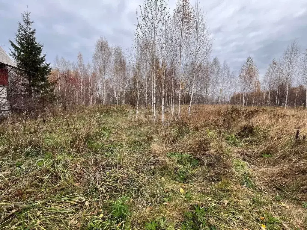 Участок в Новосибирская область, Новосибирский район, Плотниковский ... - Фото 1