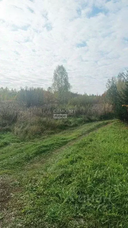 Участок в Марий Эл, Медведевский район, Нурминское с/пос, пос. Нужъялы ... - Фото 1