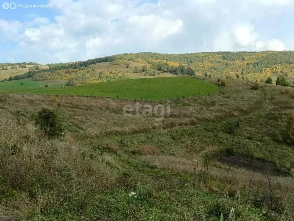 Участок в Майминский район, село Кызыл-Озек (9.7 м) - Фото 0