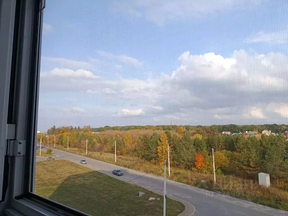 3-к кв. Воронежская область, Рамонский район, Яменское с/пос, Ветряк ... - Фото 2