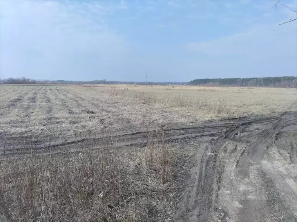 Участок в Московская область, Коломна городской округ, с. Чанки  (5.1 ... - Фото 1