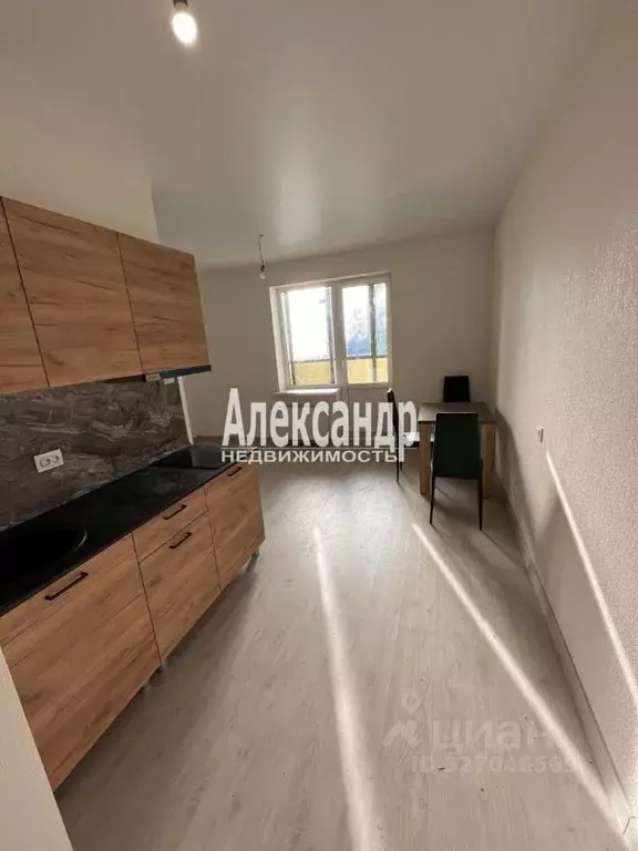 Студия Ленинградская область, Гатчина ул. Чехова, 39к2 (27.7 м) - Фото 2