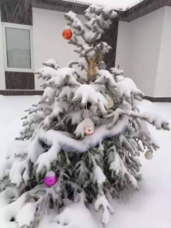 Дом в Московская область, Домодедово Сиеста Южная кп, 61 (60 м) - Фото 2