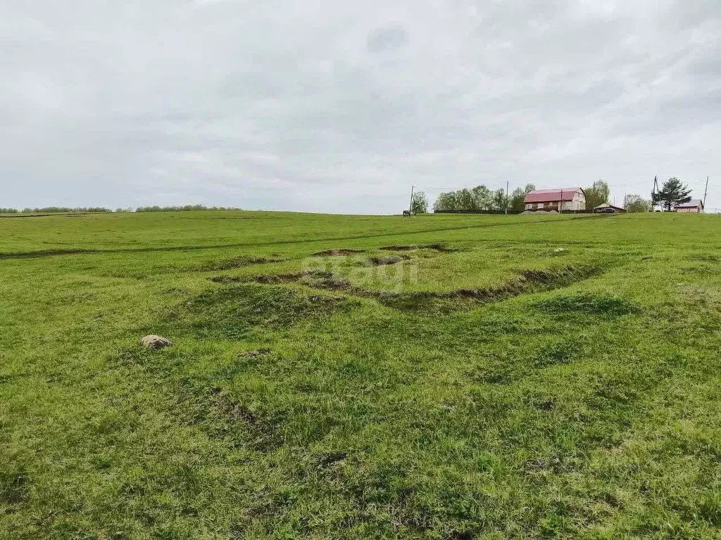 Участок в Кемеровская область, Кемеровский муниципальный округ, пос. ... - Фото 2