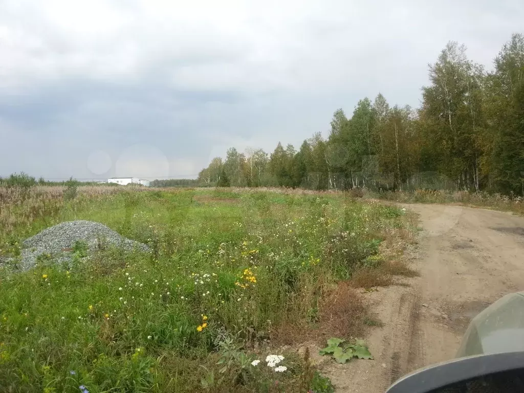 Снт Урал Кременкуль Купить