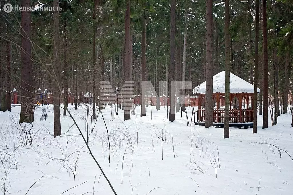 Участок в Одинцовский городской округ, деревня Таганьково (145 м) - Фото 1