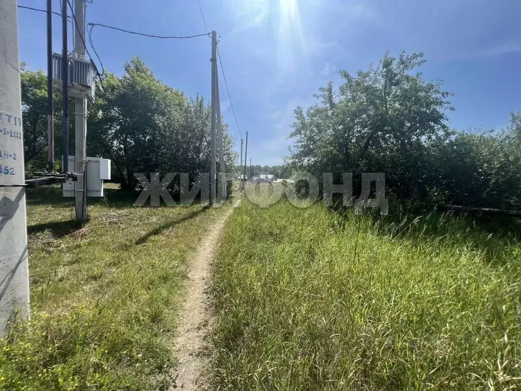 Участок в Алтайский край, Барнаул городской округ, пос. Мохнатушка ул. ... - Фото 1