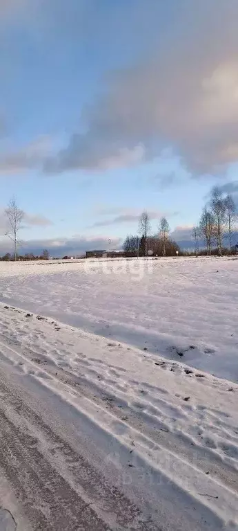 Участок в Пермский край, Добрянский городской округ, д. Залесная  (7.4 ... - Фото 0