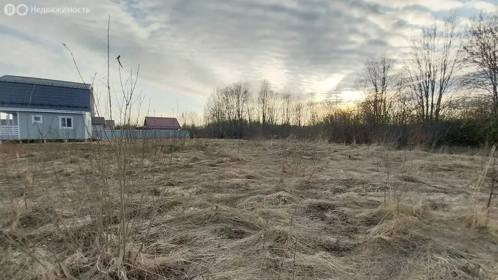 Участок в Новгородский муниципальный район, Савинское сельское ... - Фото 1