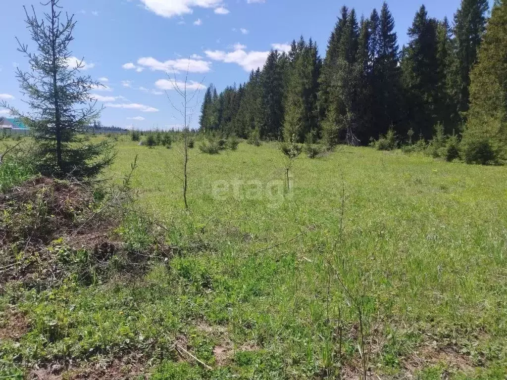 Участок в Удмуртия, Завьяловский район, д. Сизево  (7.0 сот.) - Фото 1