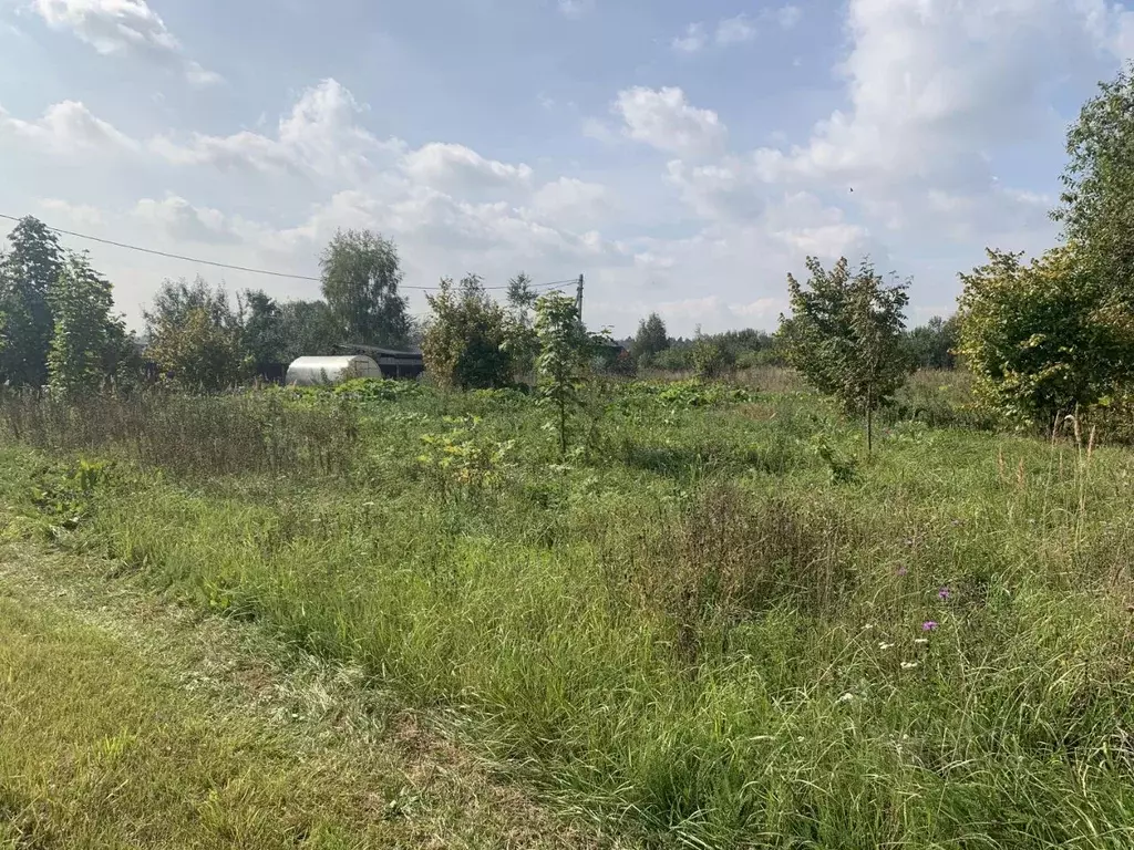 Участок в Московская область, Пушкинский городской округ, д. Цернское  ... - Фото 0